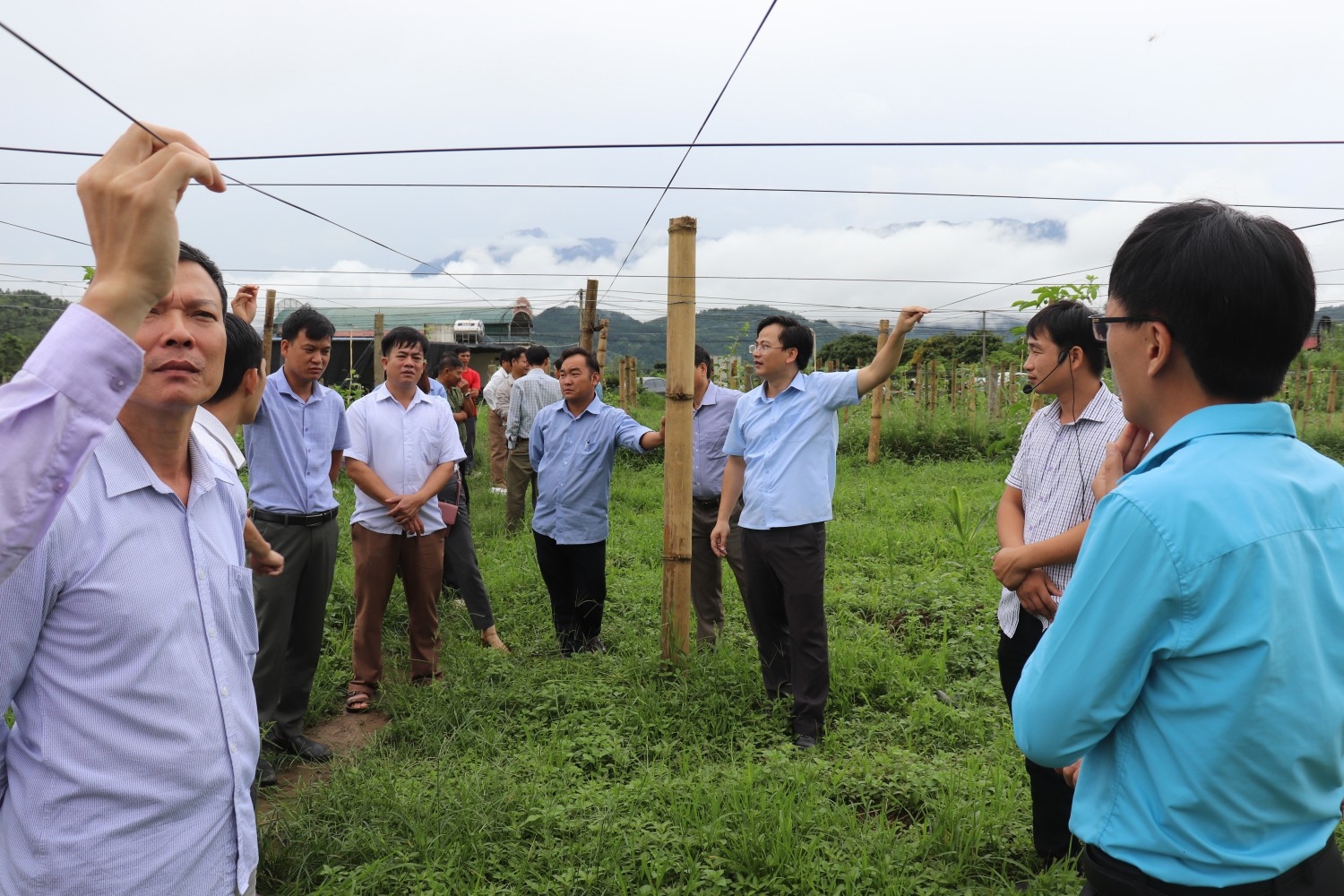 Cán bộ nông nghiệp hướng dẫn người dân làm giàn trồng cây chanh leo